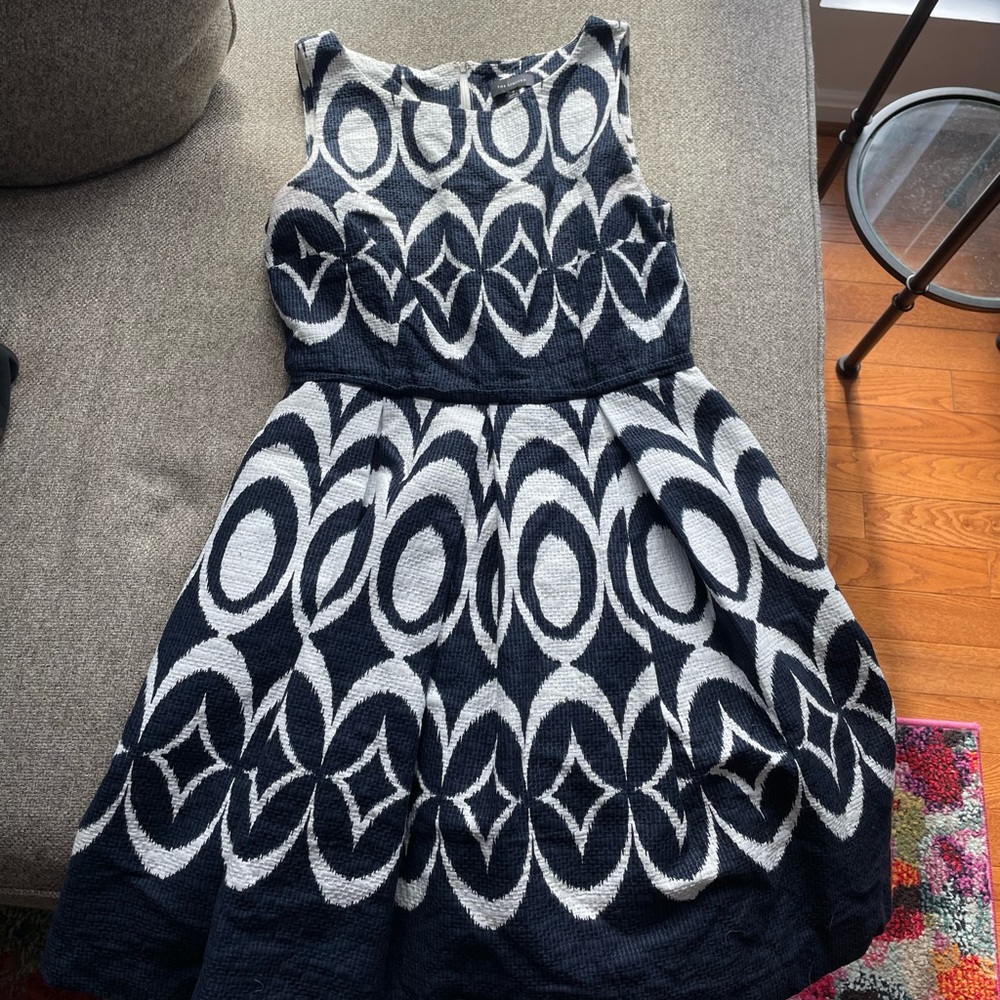 The Limited Navy & White Dress